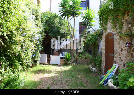 A cozy private courtyard garden with green plants and palm trees. Stock Photo