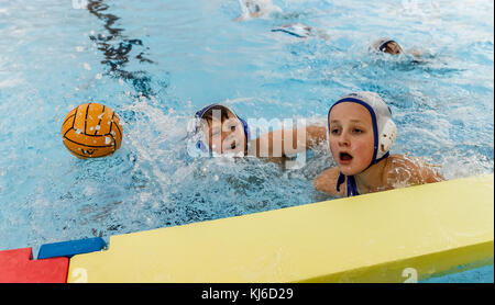 Photos from a waterpolo cup in Höganäs, Sweden. Cup called November cup took place in Sportcenter, Höganäs. Stock Photo