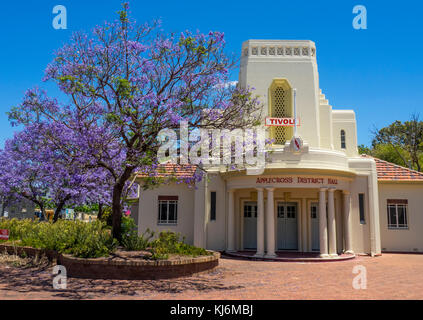 Jacaranda tree in full bloom next to the Tivoli Theatre in Applecross, Perth Western Australia. Stock Photo