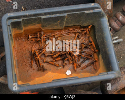 Plastic box with wet rusty screws for wood outdoor close up. Stock Photo