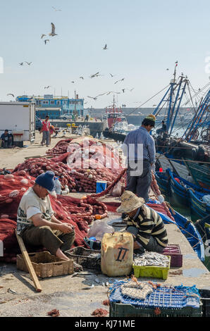 Essaouira, Morocco - September 15 2013: Unidentified local fishermen fixing nets at harbor with seagulls and boats Stock Photo