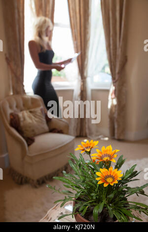 Lady reading a letter in background with a potted flower plant in foreground.  Interior, modern. Stock Photo