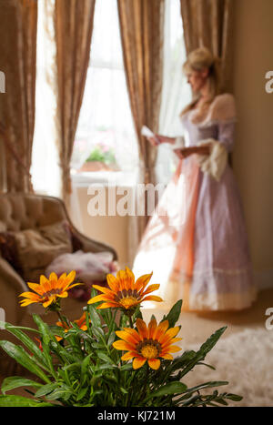 Lady reading a letter in background with an orange Gazania potted plant in foreground.  Interior. Stock Photo