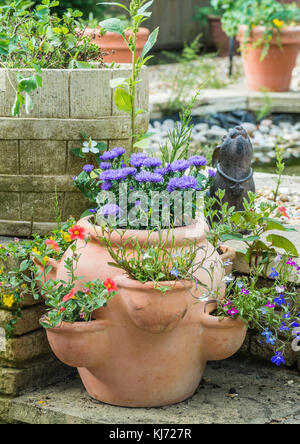 A shot of a terracotta pot planted with summer blooms. Stock Photo