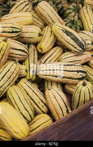 A pile of delicata squash on display at farmer's market ready for purchase Stock Photo
