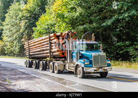 Logging Truck. Canadian Highway 4, Alberni Highway, near Port Alberni. Stock Photo