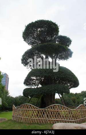 A tree in Gucheng Park in the Yuyuan Gardens section of Shanghai, China. Stock Photo