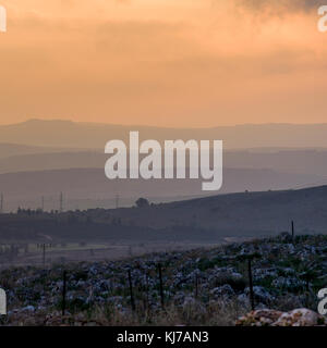 Sunrise over landscape, Vered HaGalil, Galilee, Israel Stock Photo