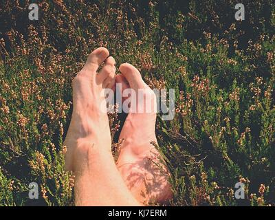 Male legs on dry heather bush. Tired legs on rocky peak bove landscape. Pure pink skin, clear nails. Heather twigs with gentle pink violet blossoms. Stock Photo