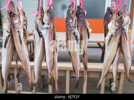 Hwangtae in Korean is the pollack dried during winter season. Stock Photo