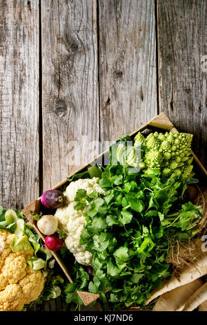 Variety of fresh raw organic colorful cauliflower, cabbage romanesco and radish with bundle of coriander in wood box over old wooden background. Top v