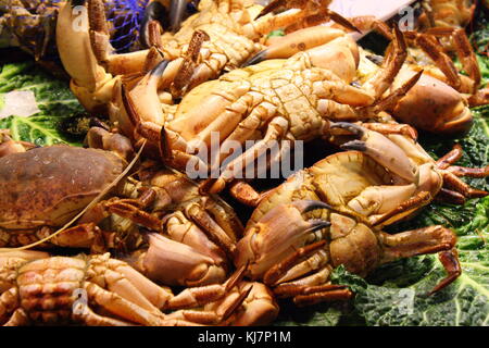 Crabs and shrimp to buy on display at the seaside fish market Stock