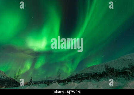 Aurora also known as Northern lights shot during Christmas in 2014 at Tromsø Norway. It was once in a life time event. The green angel danced for15min Stock Photo