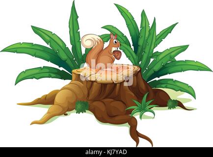 Illustration of a wood with a squirrel on a white background Stock Vector
