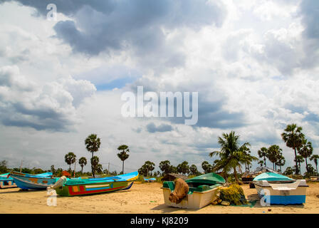 Fishing boats and palmtrees at the beach of Trincomalee, Sri Lanka Stock Photo