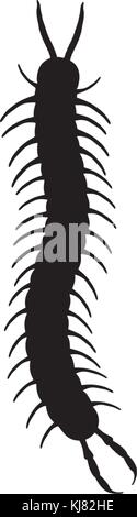 Illustration of a black centipede on a white background Stock Vector