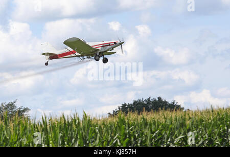 Airplane spraying insecticides over a corn field Stock Photo