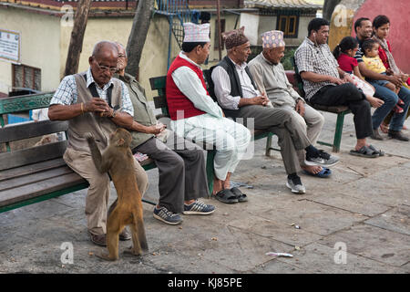 Hanging out with the monkeys, Swayambhunath, Kathmandu, Nepal Stock Photo