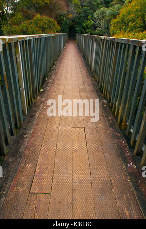 boardwalk in the park Stock Photo