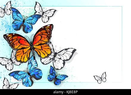 White background is painted blue and green with bright butterflies and monarchs and morpho .  Morpho. Monarch butterfly. Design with butterflies. Stock Vector
