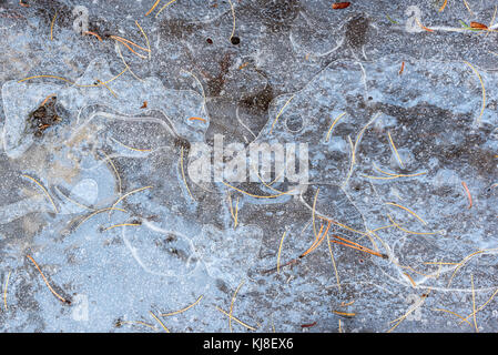 Frozen puddle on a trail in Oregon's Wallowa Mountains. Stock Photo
