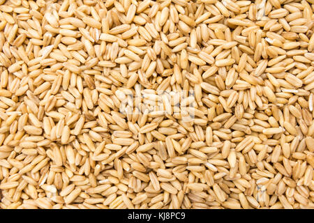 Avena Sativa is scientific name of Oat cereal grain. Also known as Aveia or Avena. Closeup of grains, background use. Stock Photo