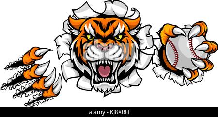 Tiger Holding Baseball Ball Breaking Background Stock Vector
