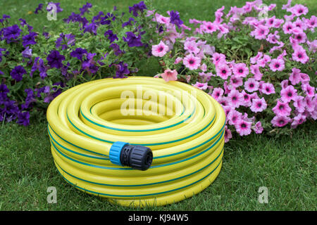 Yellow hose pipe in a garden with flowers Stock Photo