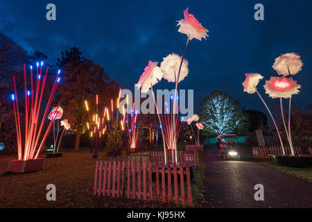 London, UK. 21st Nov, 2017. Night views of Christmas at Kew, an after-dark walk featuring light and sound installations in Kew Gardens, west London, now in its fifth year. Photo date: Tuesday, November 21, 2017. Credit: Roger Garfield/Alamy Live News Stock Photo