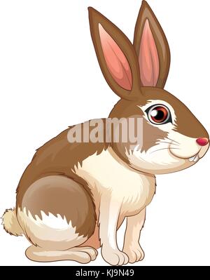 Illustration of a fat brown rabbit on a white background Stock Vector