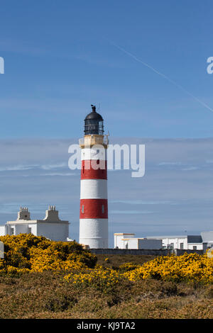 Point of Ayre Lighthouse, Isle of Man Stock Photo