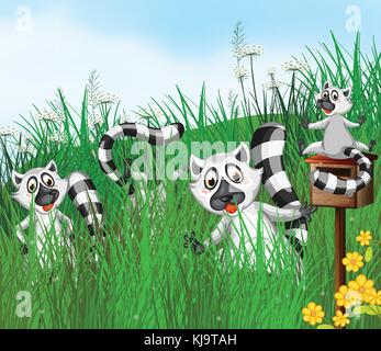 Illustration of a ring-tailed lemur Stock Vector