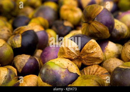 Organic tomatillos from a local market Stock Photo