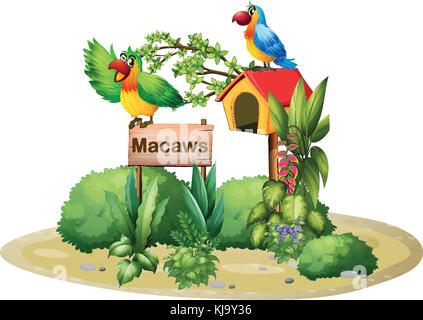 Illustration of the two colorful parrots above a signboard and a birdhouse on a white background Stock Vector