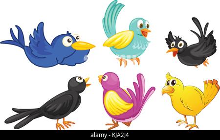 Illustration of birds with different colors on a white background Stock Vector