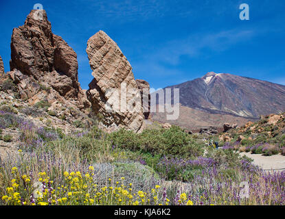 Roque Cinchado at Caldera de las Canadas, behind Pico del Teide, UNESCO world heritage site, Tenerife island, Canary islands, Spain Stock Photo