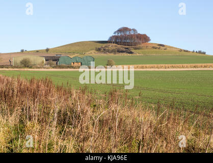 Chalk landscape in winter, Woodborough Hill, Wiltshire, England, UK Stock Photo