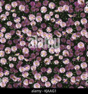 Pink Autumn Flowers With Some Bees on, Seamless Pattern, Eps 10 Vector, Transparency Used Stock Vector
