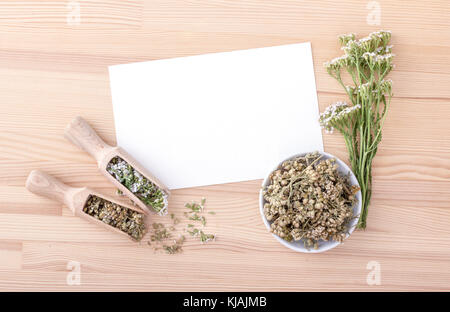 Top view of white card with copy space and fresh and dried flowers and leaves of yarrow with a wooden background Stock Photo