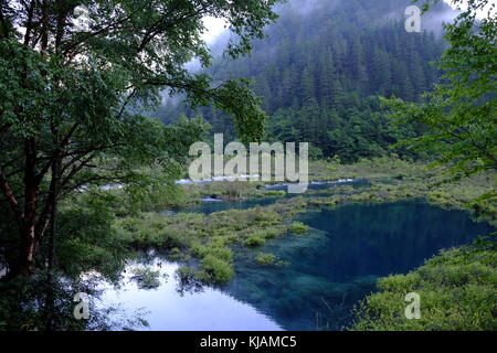 Chain of lakes in Jiuzhaigou valley Stock Photo