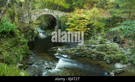 Foley's Bridge, Tollymore Forest