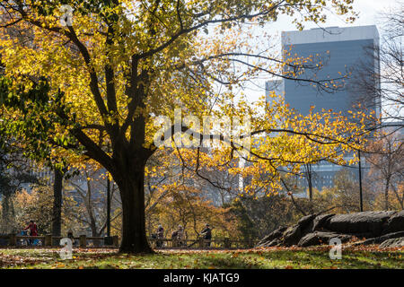 Central Park with Fall Foliage in Autumn, NYC, USA Stock Photo