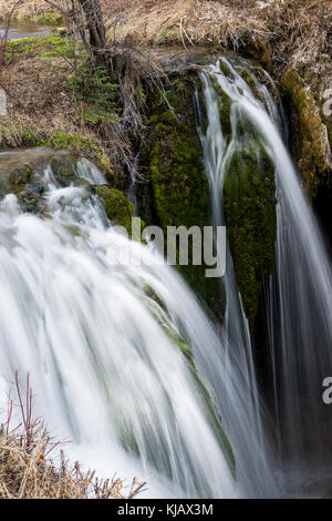 South Dakota. Spearfish Canyon. Black Hills. Roughlock Falls; Stock Photo