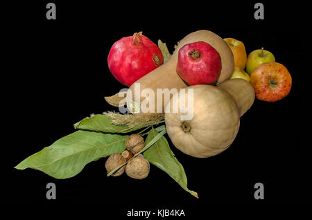 Pumpkins with red garnets,apples and nuts near the reeds with a dry walnut leaves on a black background Stock Photo