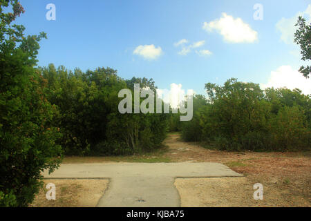 Gfp florida keys tavernier key trail walk t Stock Photo