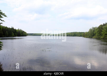 Gfp pennsylvania promised land state park lakeview Stock Photo