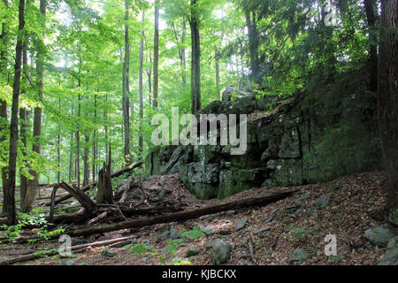 Gfp pennsylvania promised land state park rock Stock Photo