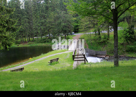 Gfp pennsylvania promised land state park bridge and dam Stock Photo