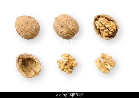 Walnuts, whole and opened, on white background. Top views of nuts and kernel halves. Seeds of the common walnut tree Juglans regia. Stock Photo