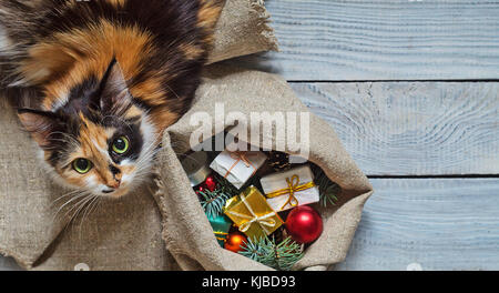 Cat near the sack with Christmas gifts Stock Photo